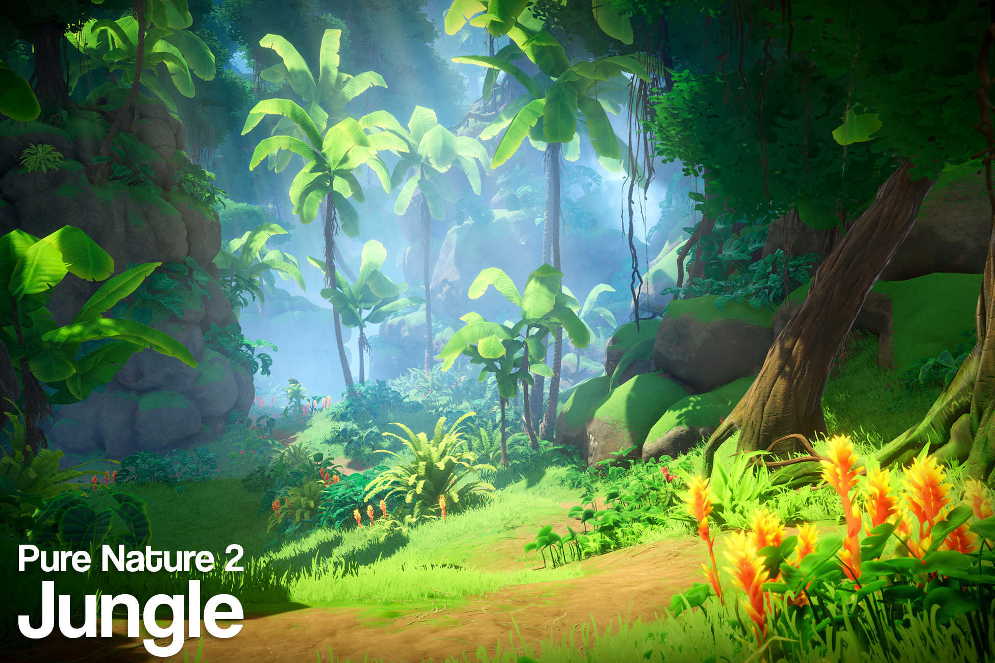 Pure Nature 2 : Jungle